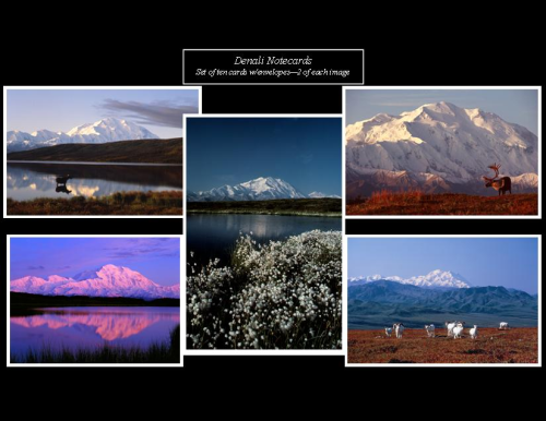 Denali Note Cards