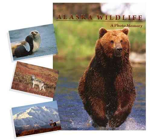 ALASKA WILDLIFE – A PHOTO MEMORY BOOK
